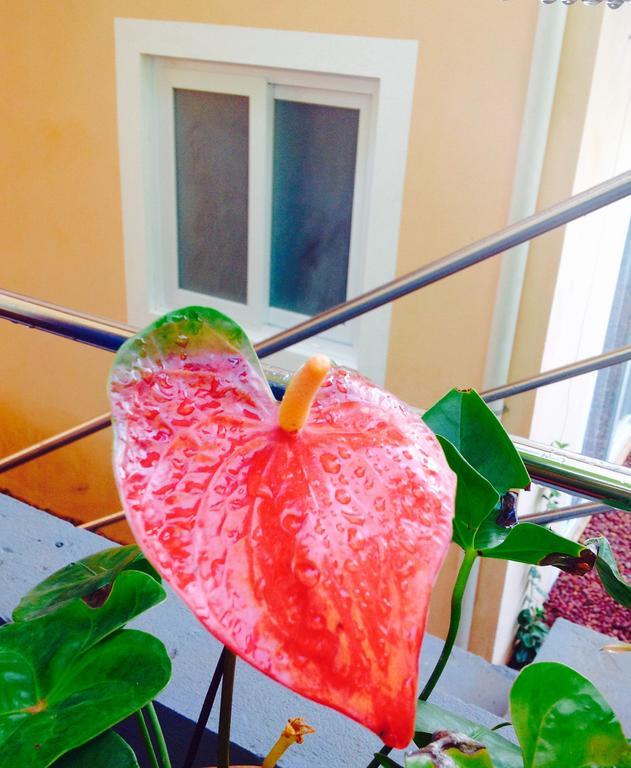 Jardim Secreto Holiday home